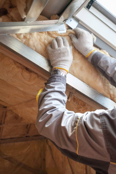 Best Residential Insulation Services  in Riverside, IL