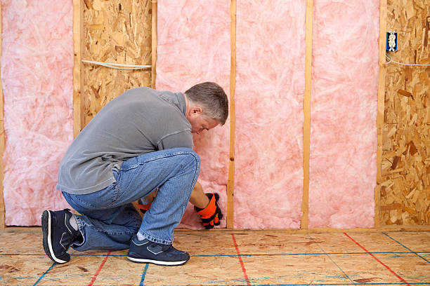 Best Crawl Space Insulation  in Riverside, IL