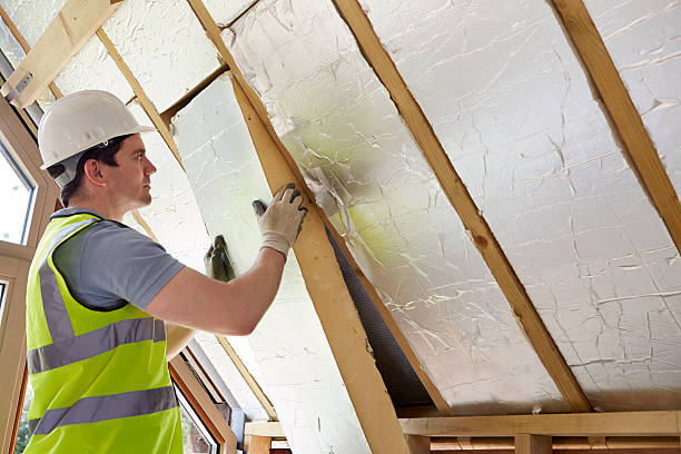 Best Energy-efficient Insulation  in Riverside, IL